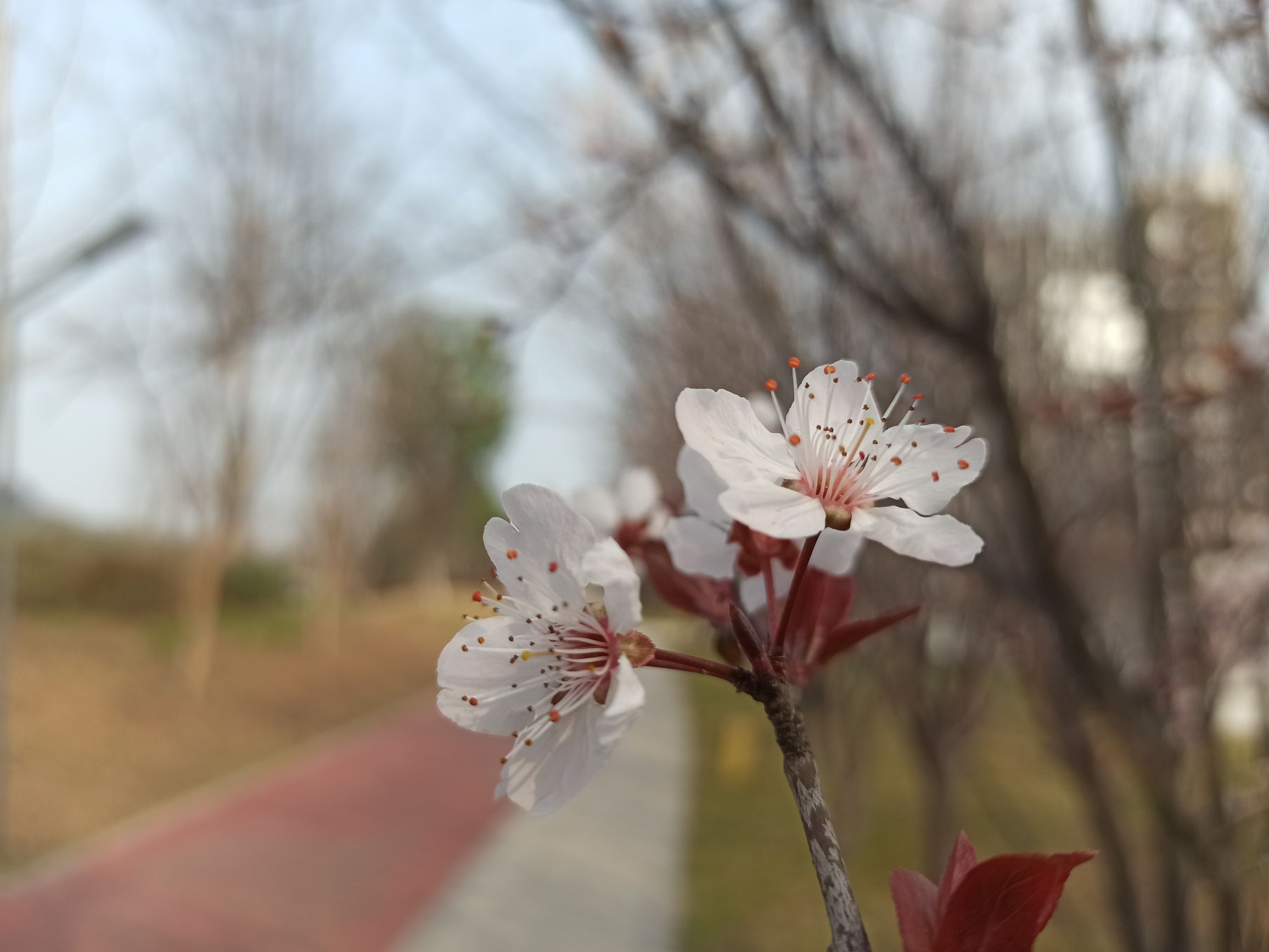 南溪之玉生态公园旅行图片 1