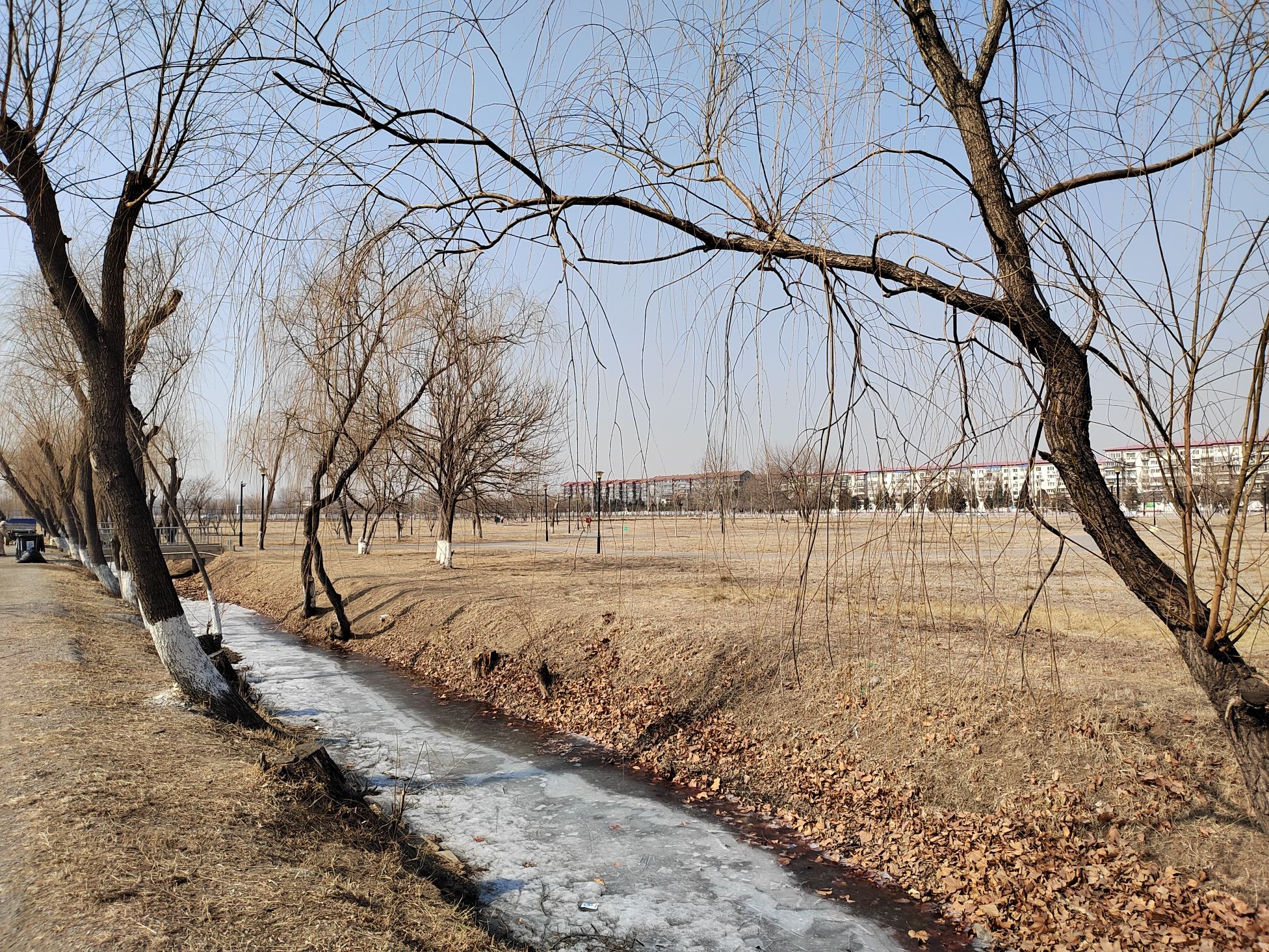 南竺园公园旅行图片 1