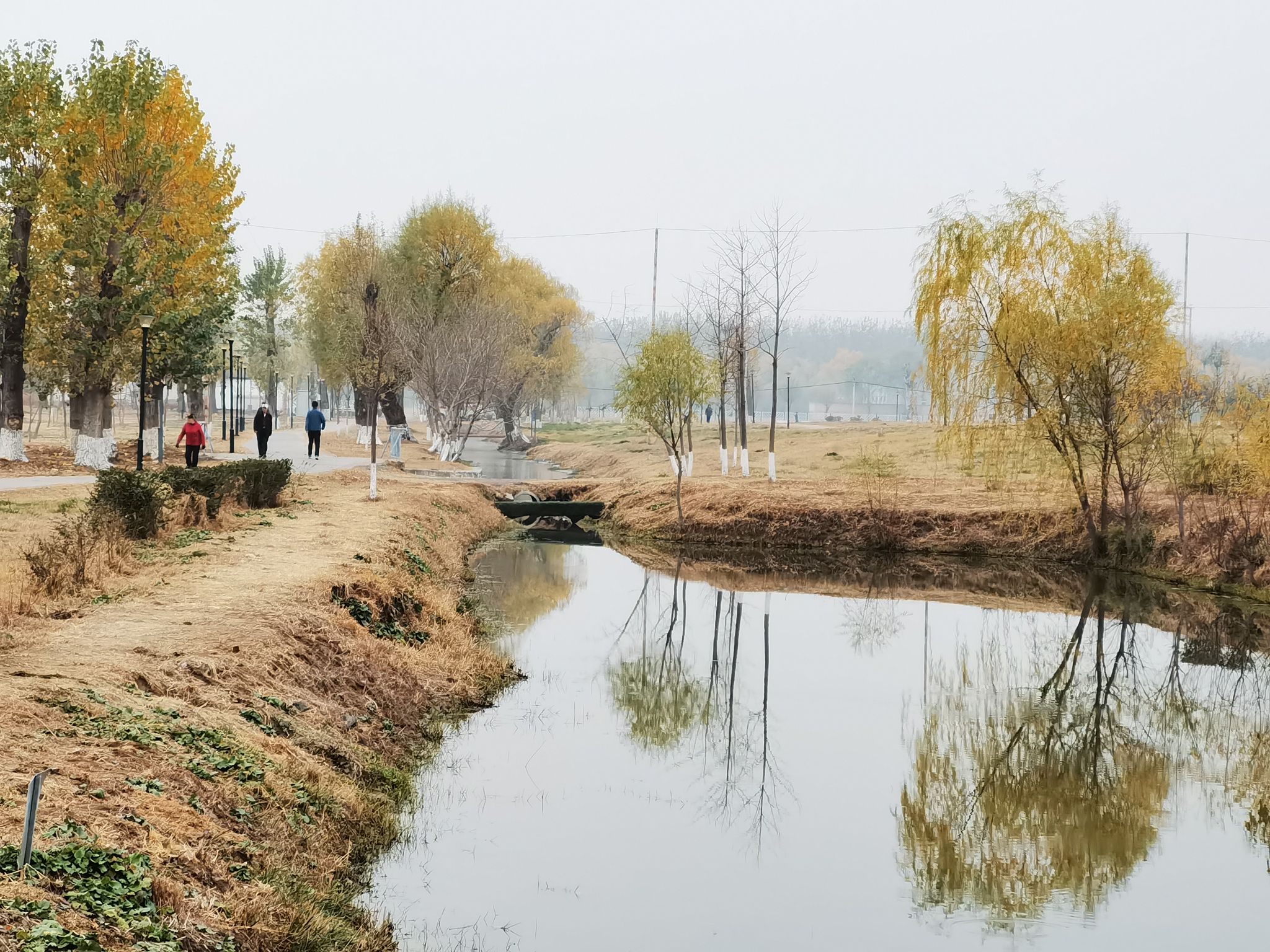 南竺园公园旅行图片 3