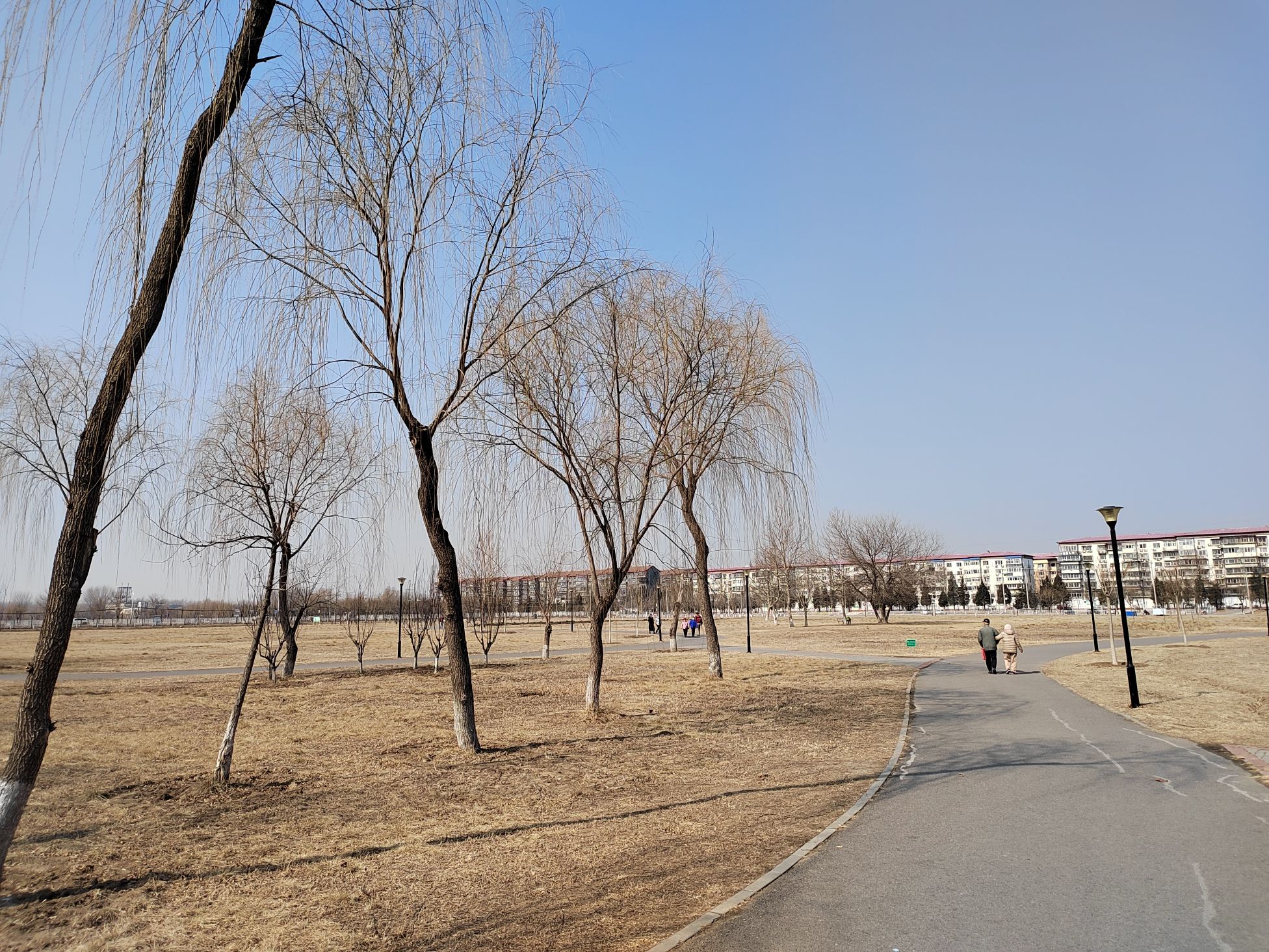 南竺园公园旅行图片 3