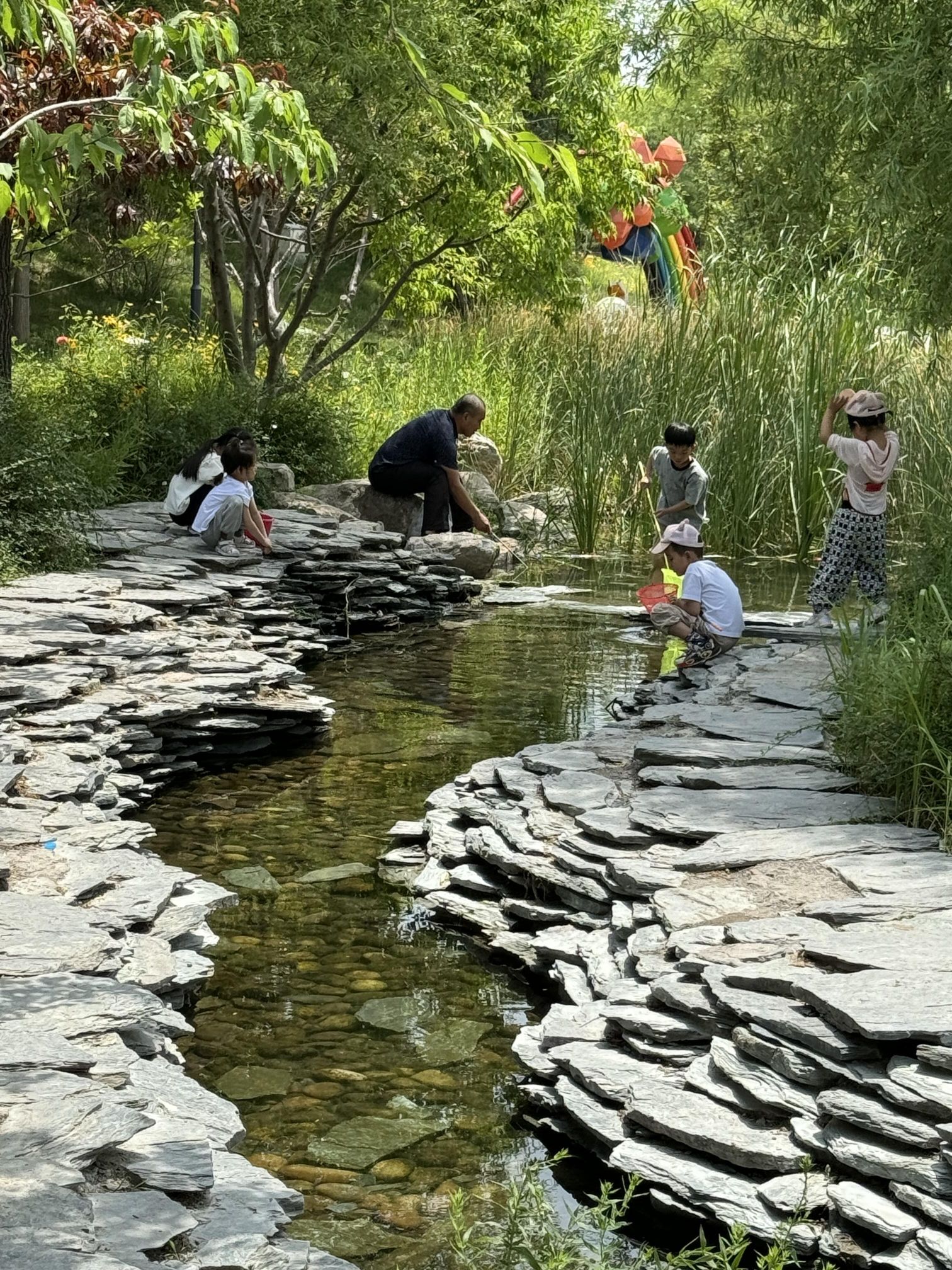 龙河中央公园旅行图片 3
