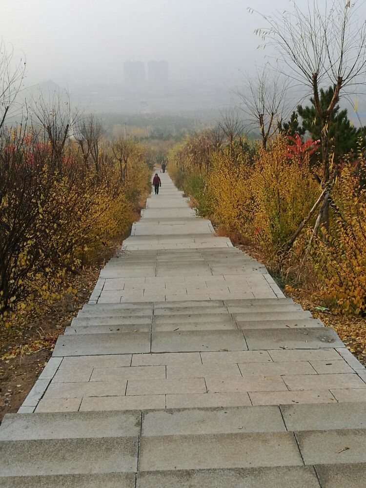 北山平庄森林公园旅行图片 1
