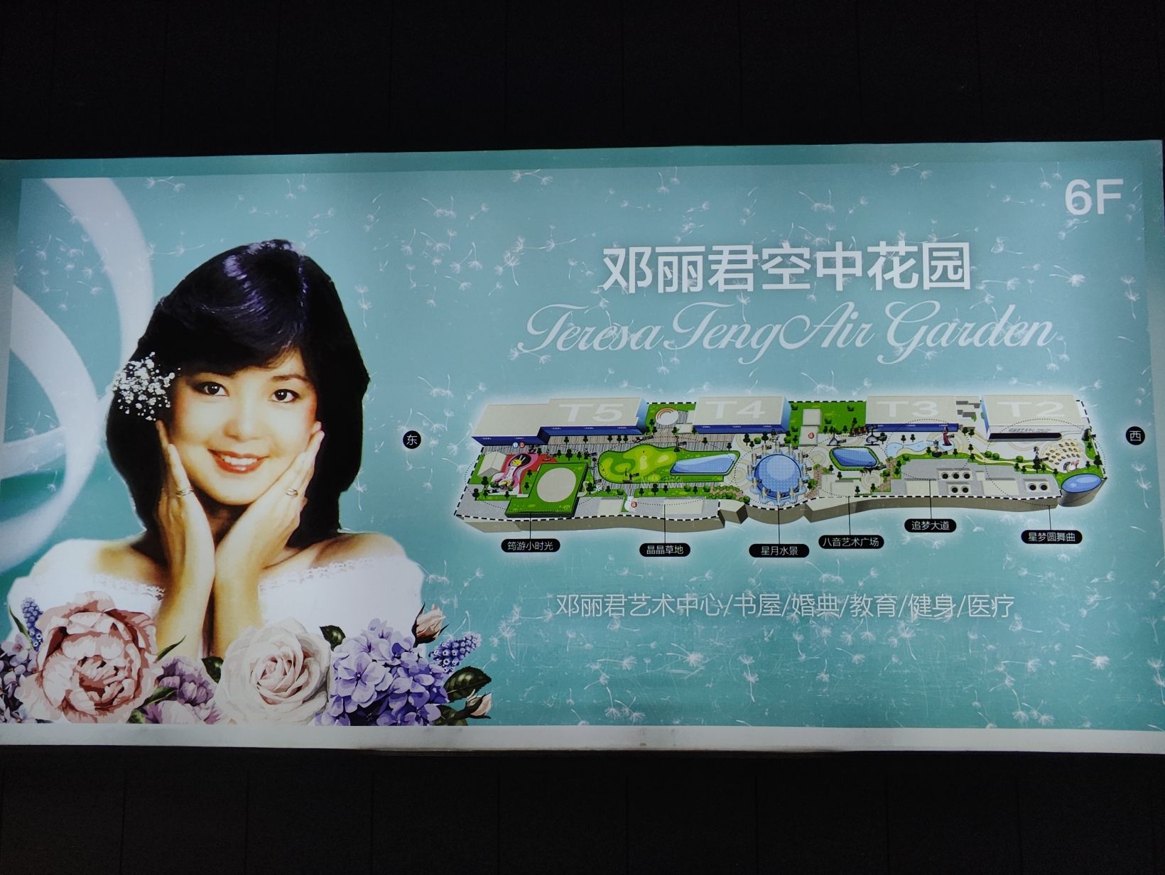 邓丽君空中花园旅行图片 1