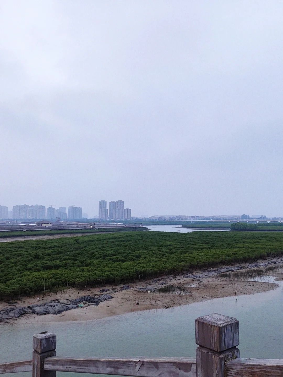 下潭尾滨海湿地公园旅行图片 2