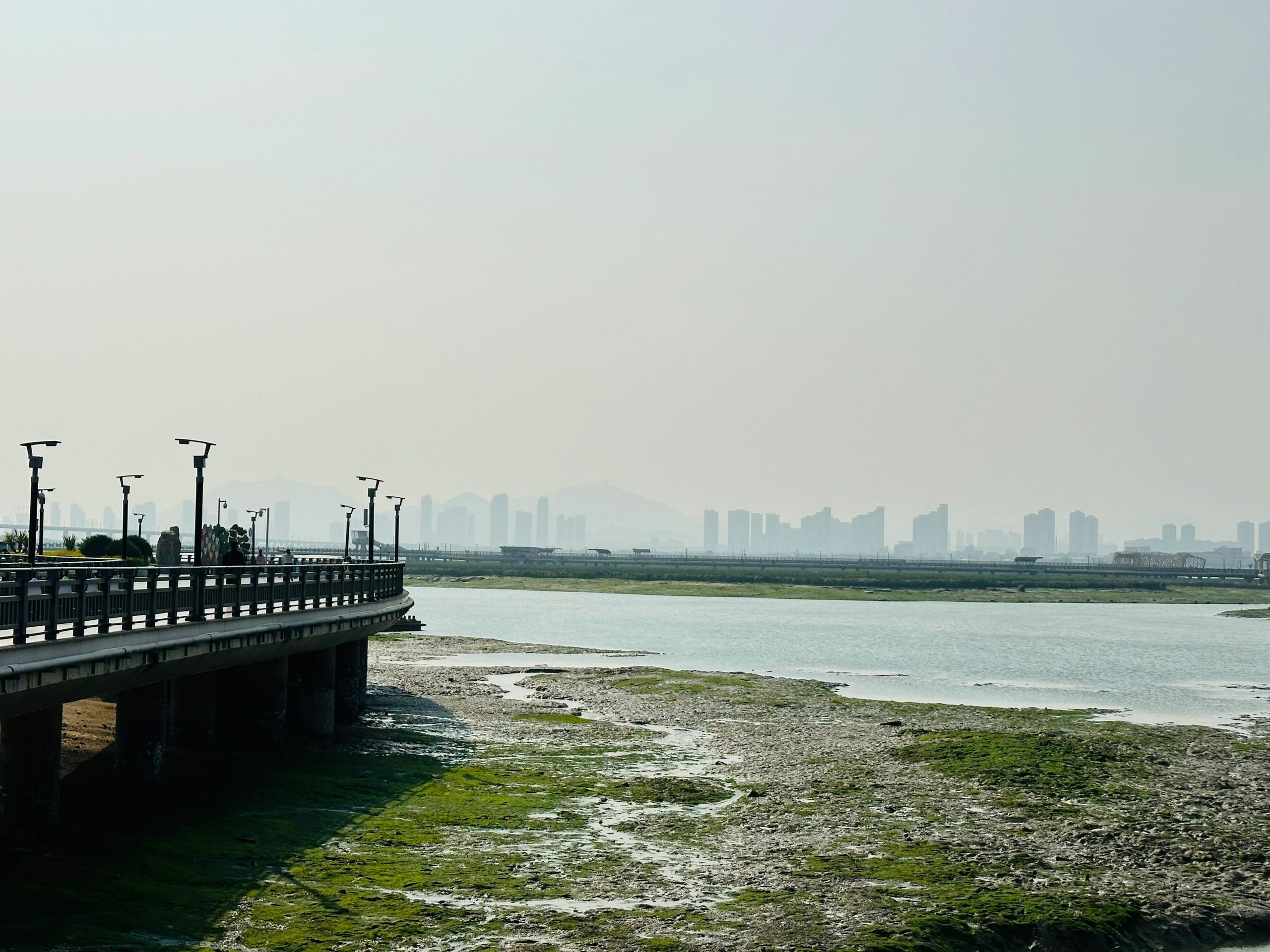 下潭尾滨海湿地公园旅行图片 3