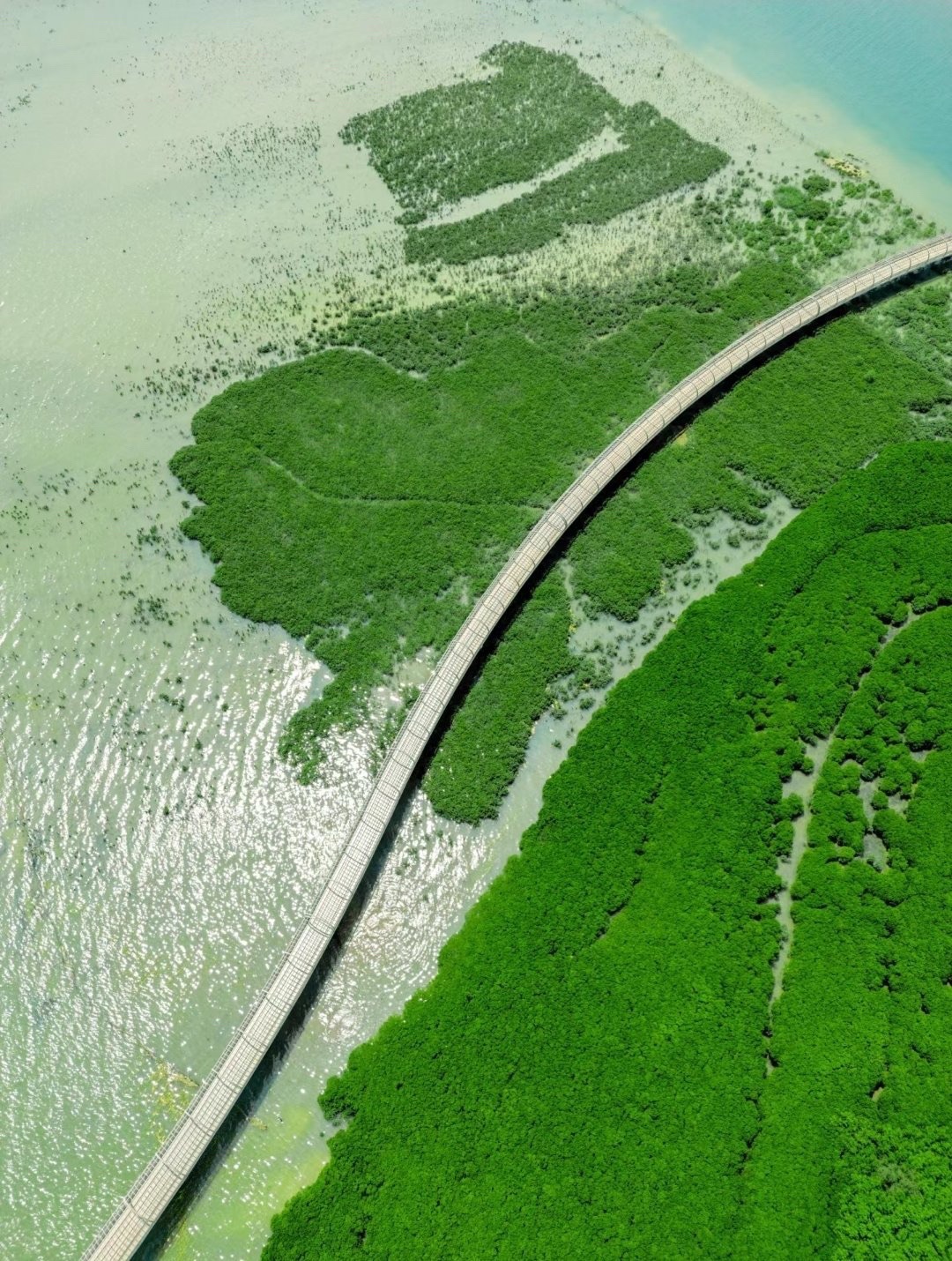 下潭尾滨海湿地公园
