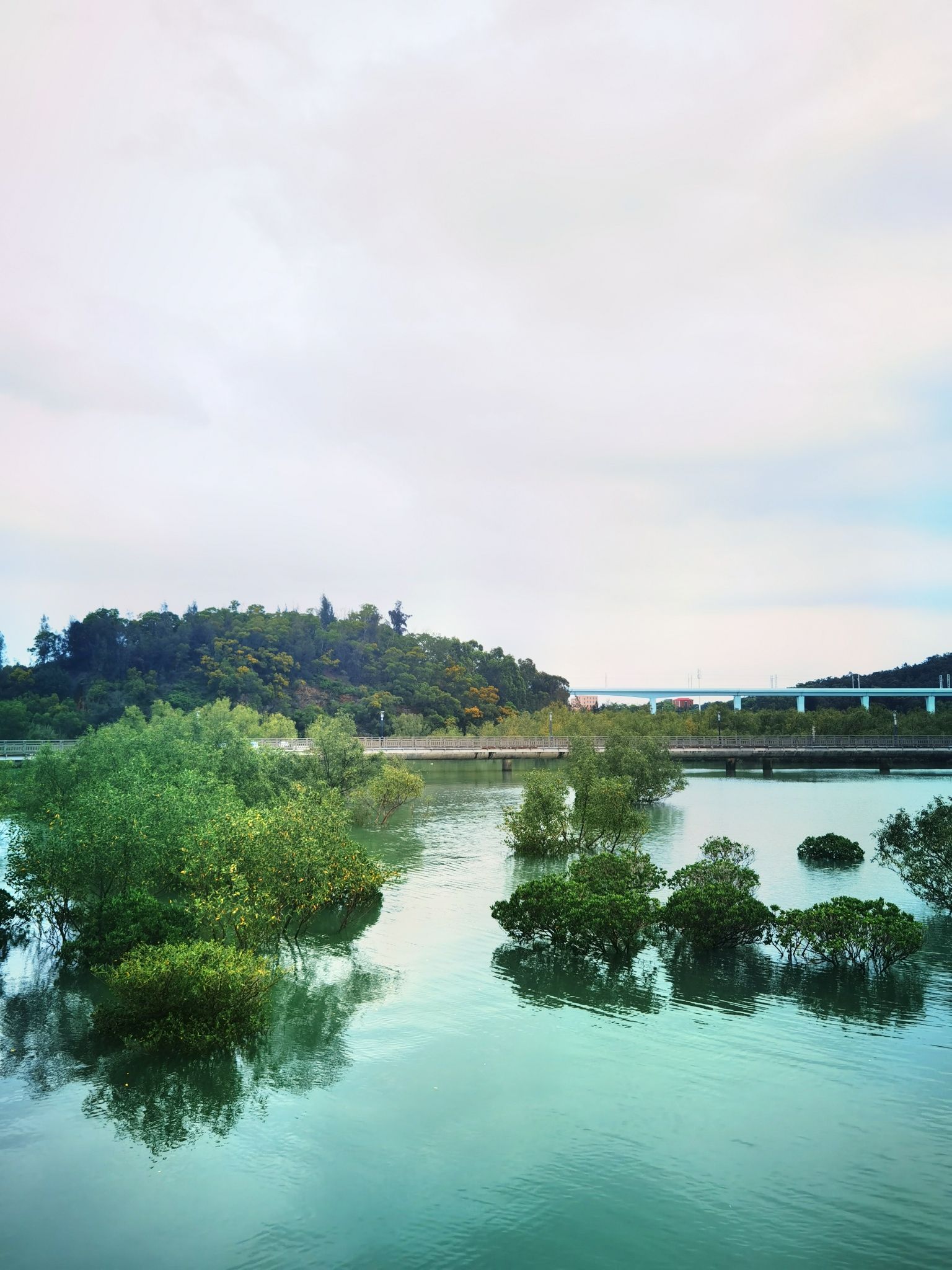 下潭尾滨海湿地公园旅行图片 2