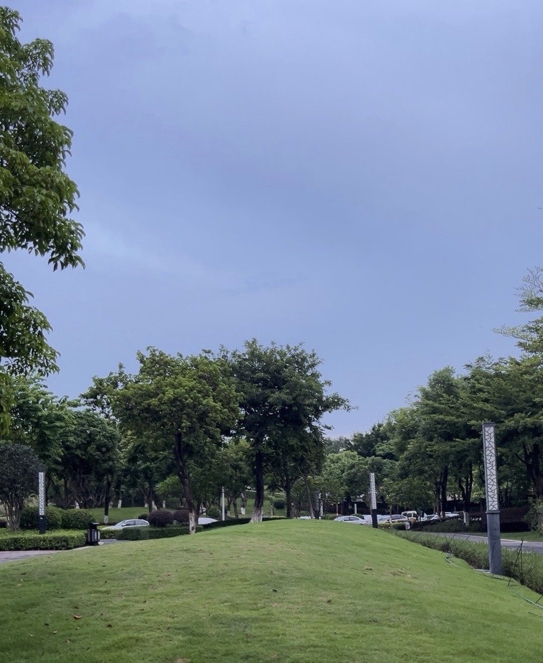 艺术公园旅行图片 2