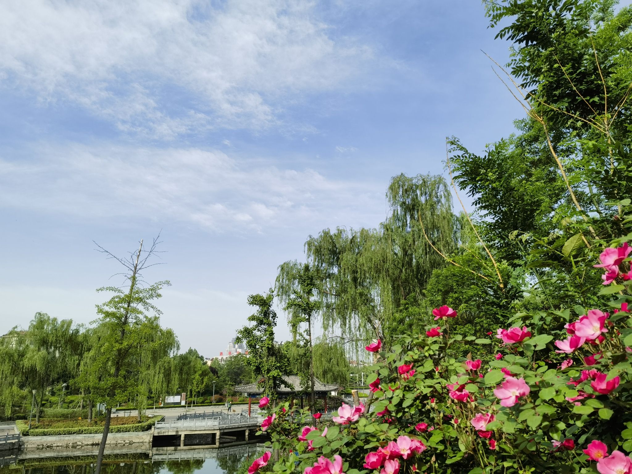 音义河公园旅行图片 1
