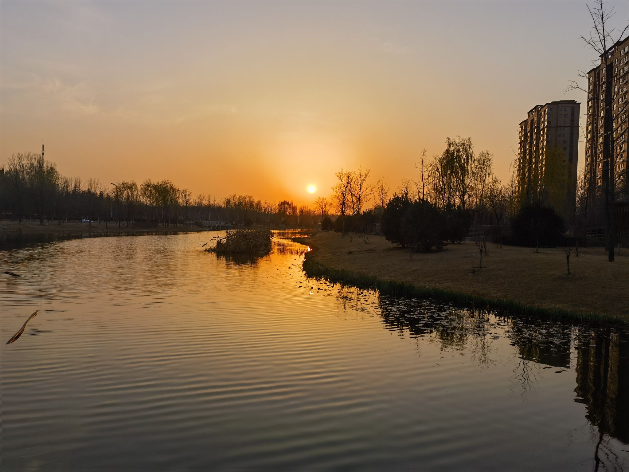 音义河公园旅行图片 3