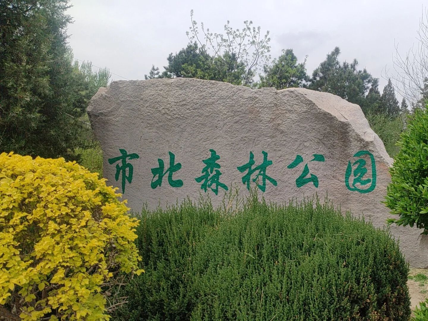 市北森林公园