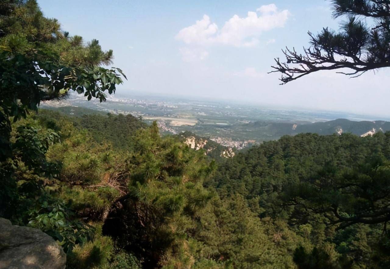 市北森林公园旅行图片 1