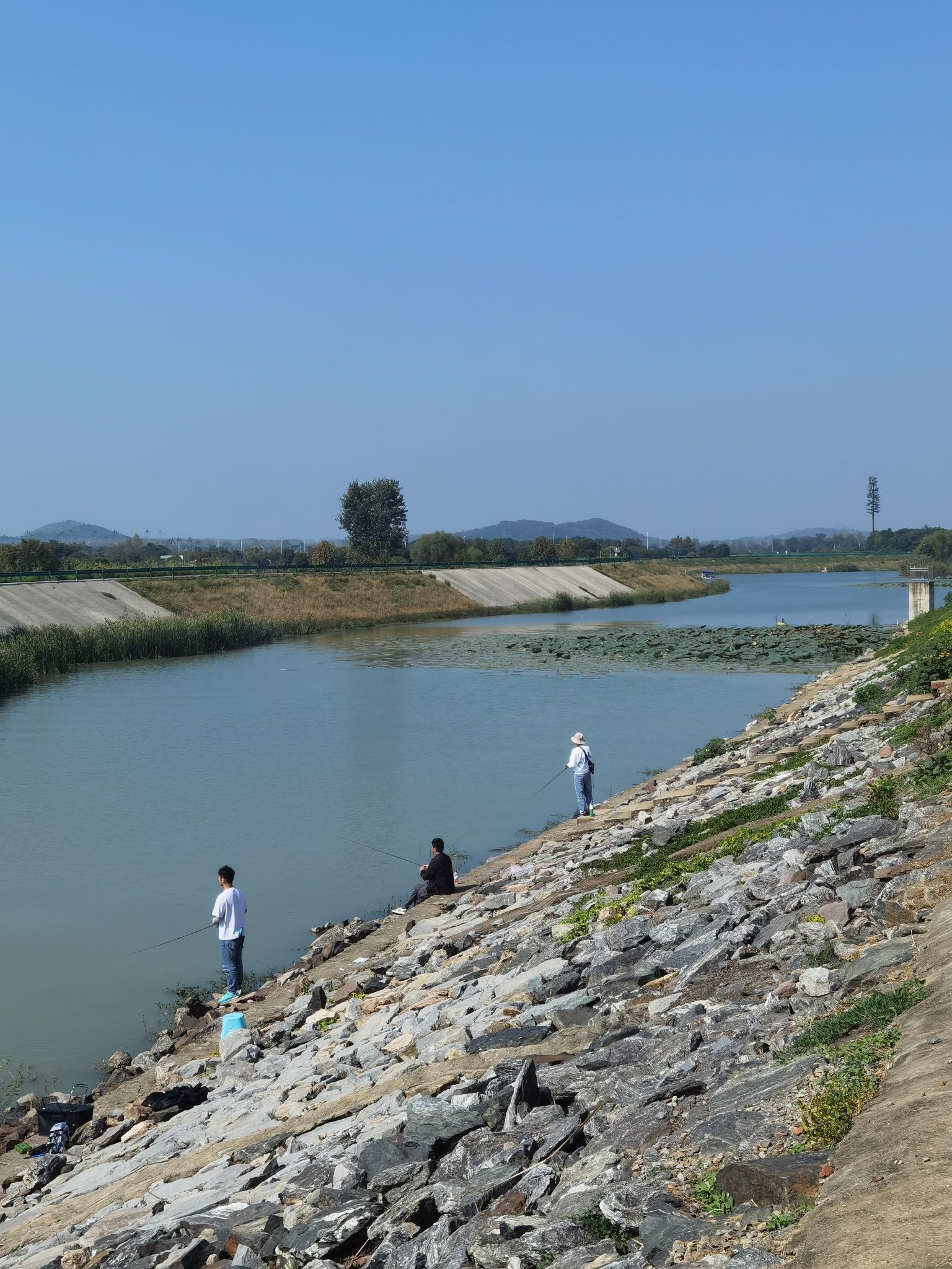 巢湖半岛国家湿地公园