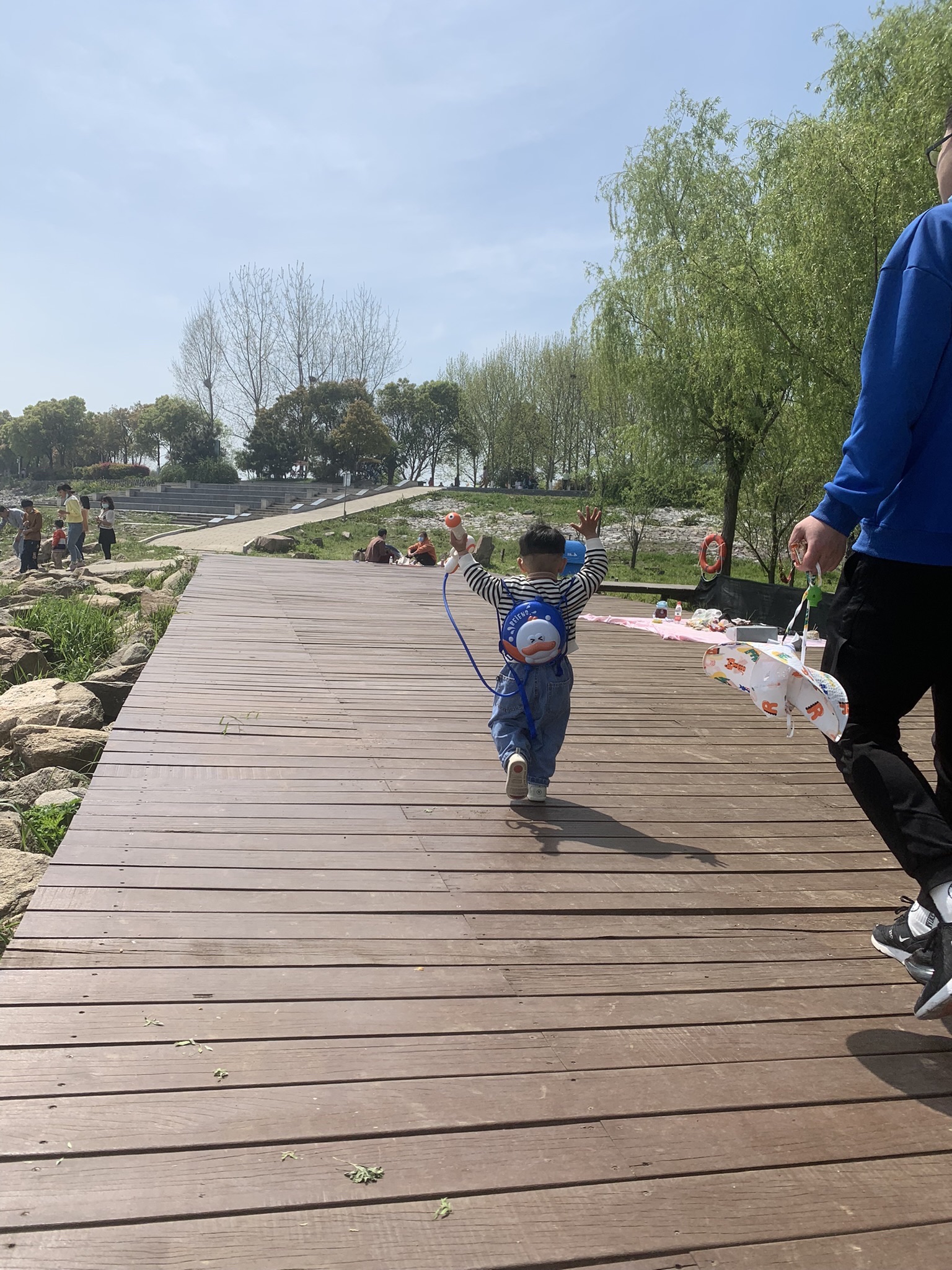 巢湖半岛国家湿地公园旅行图片 1