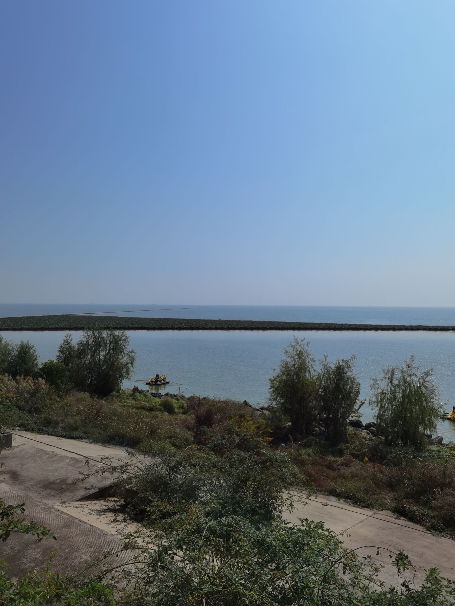 巢湖半岛国家湿地公园旅行图片 2