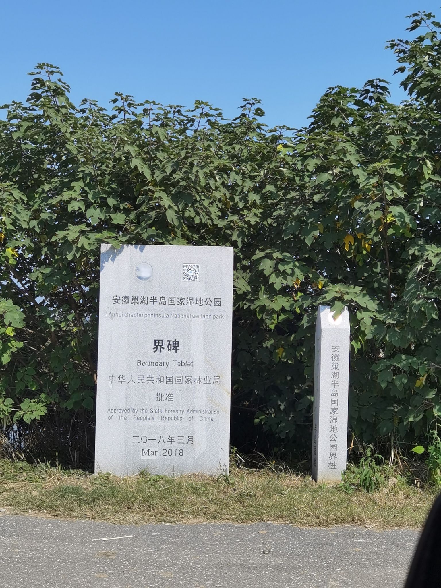 巢湖半岛国家湿地公园旅行图片 1