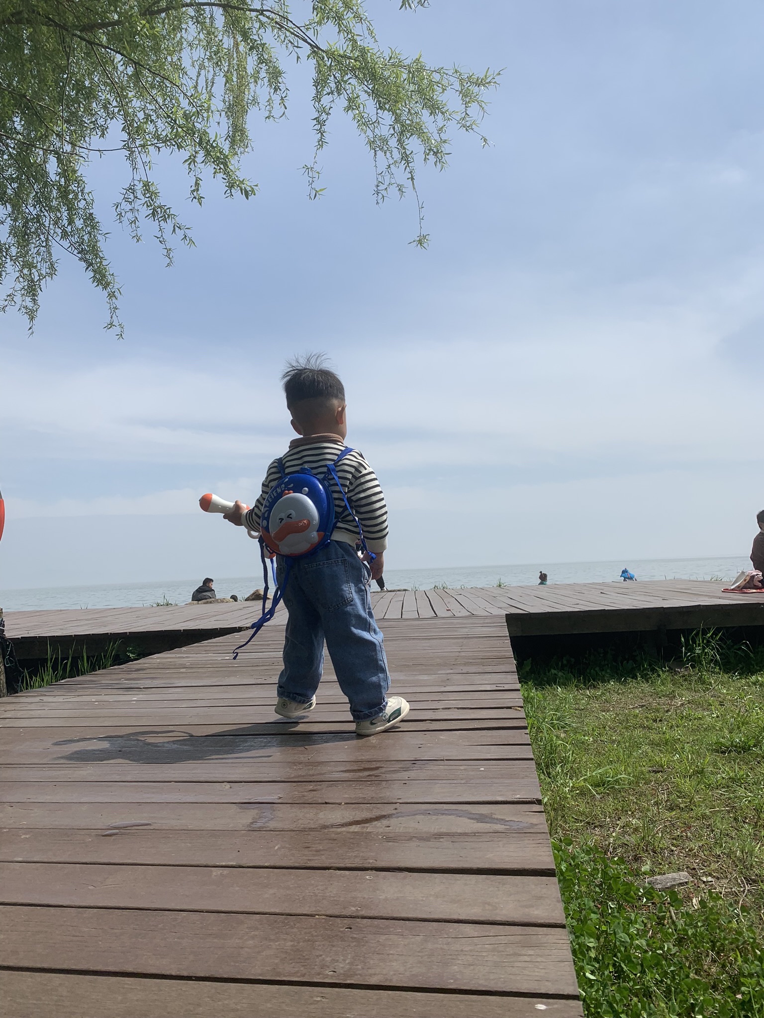 巢湖半岛国家湿地公园旅行图片 2