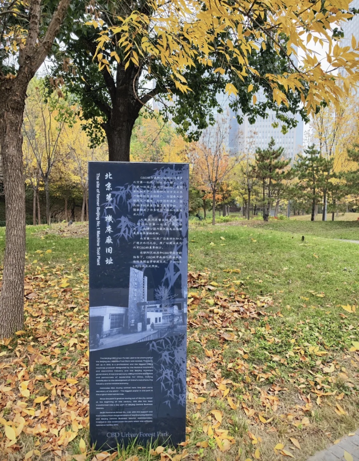 CBD森林公园旅行图片 2