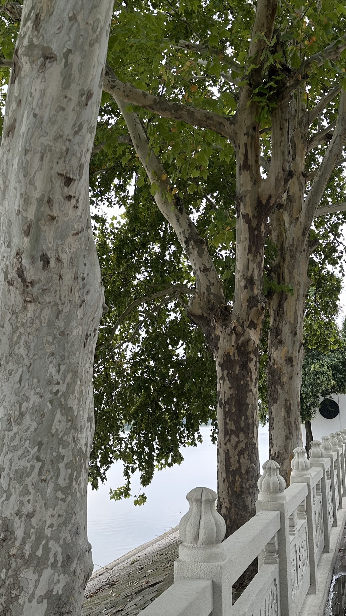 大闸公园旅行图片 3