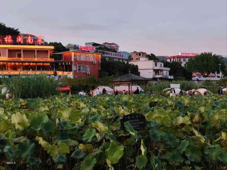 初心公园旅行图片 1