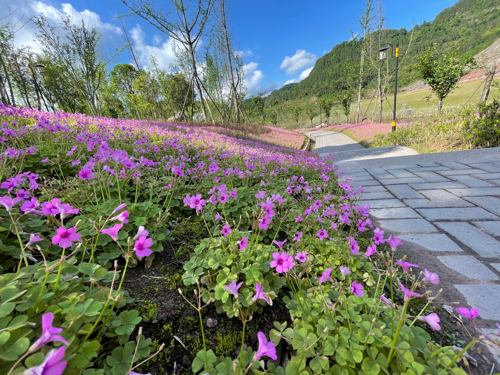 九寨山旅游景区旅行图片 2