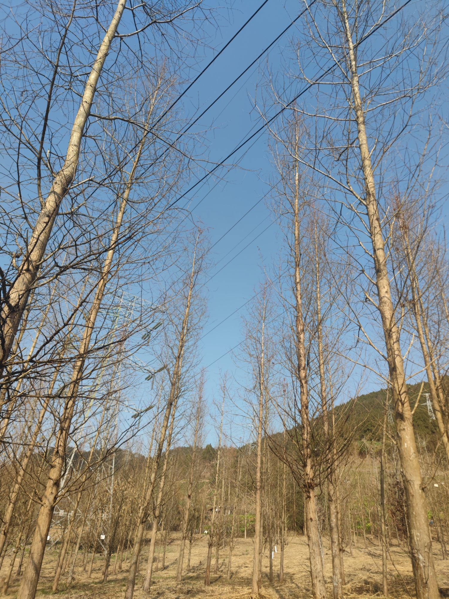 九寨山旅游景区旅行图片 3