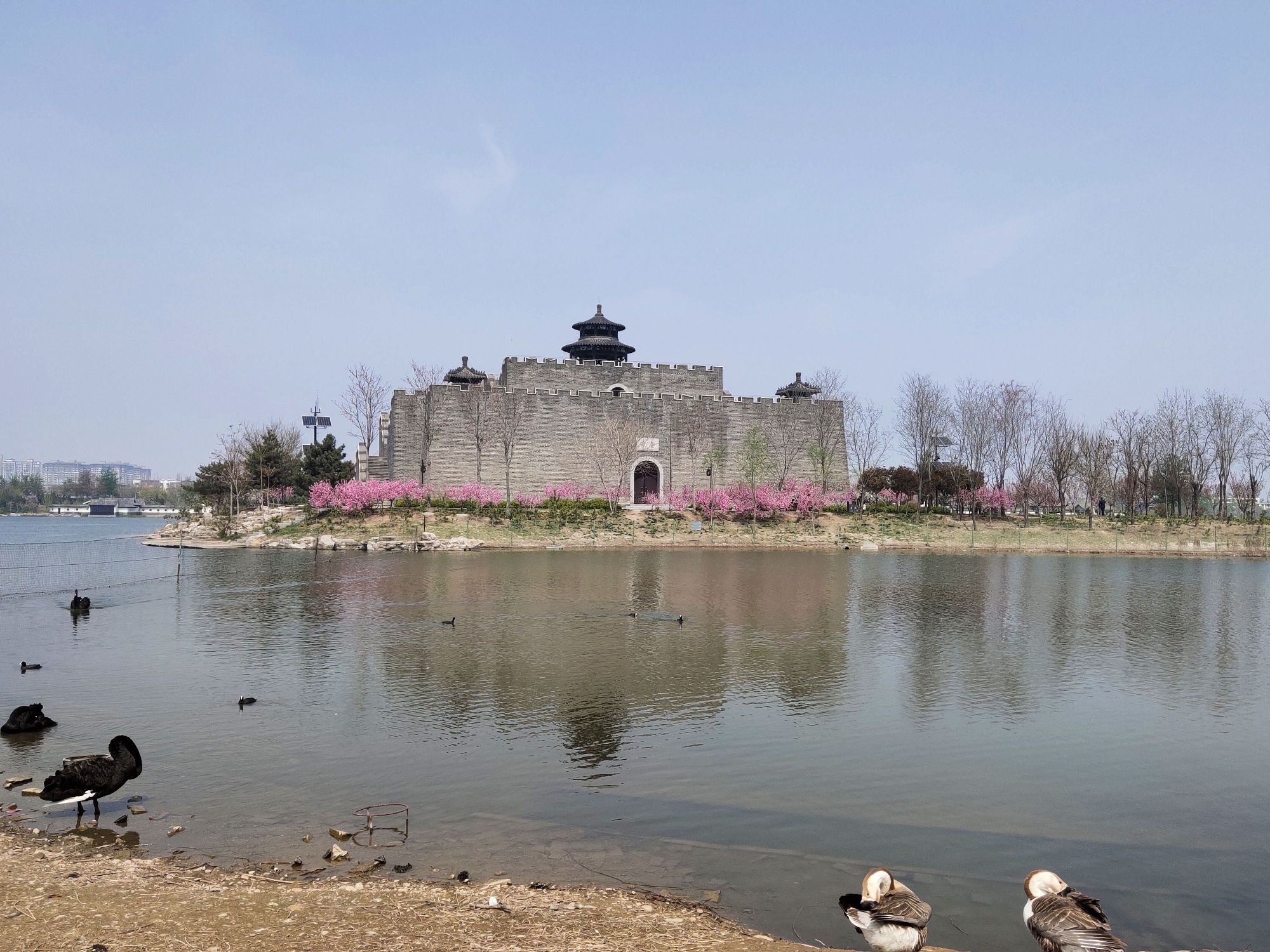 瀛台旅行图片 3