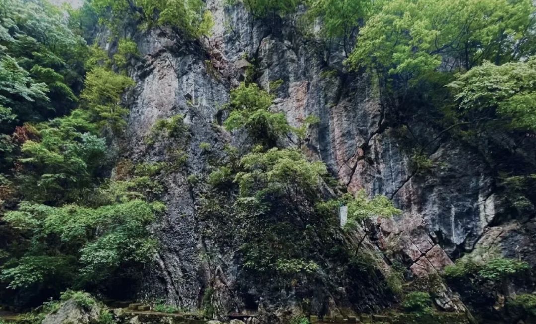 情人谷旅行图片 3