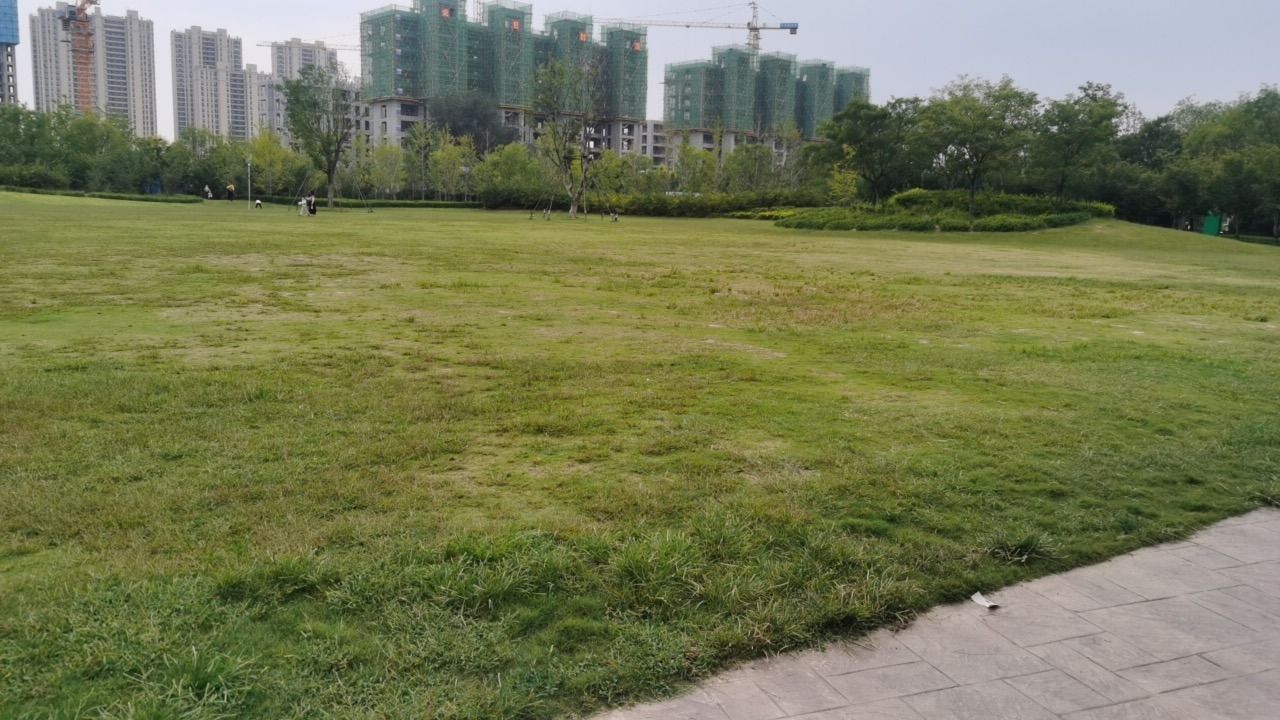 中央公园旅行图片 1