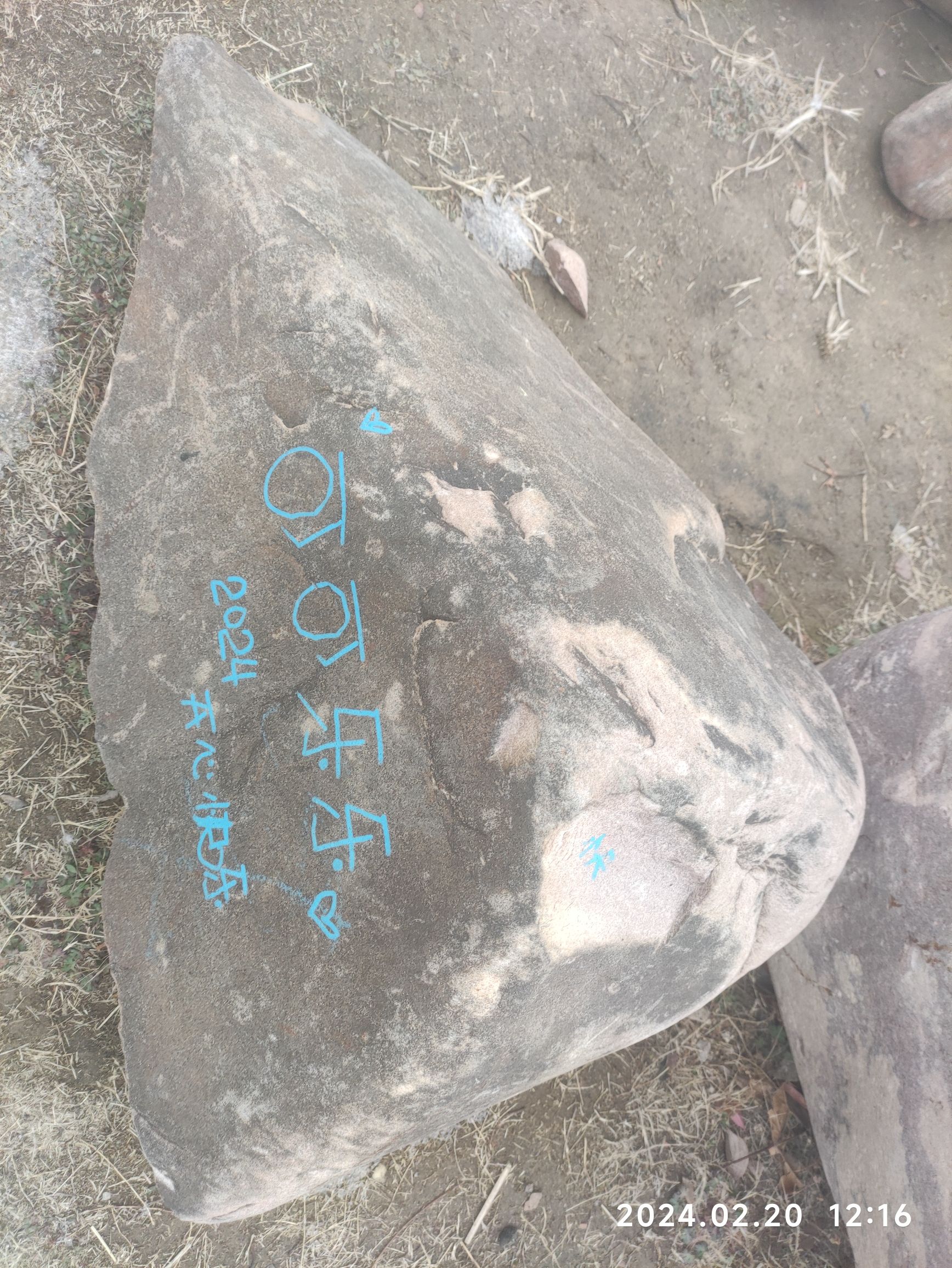 中央公园旅行图片 1