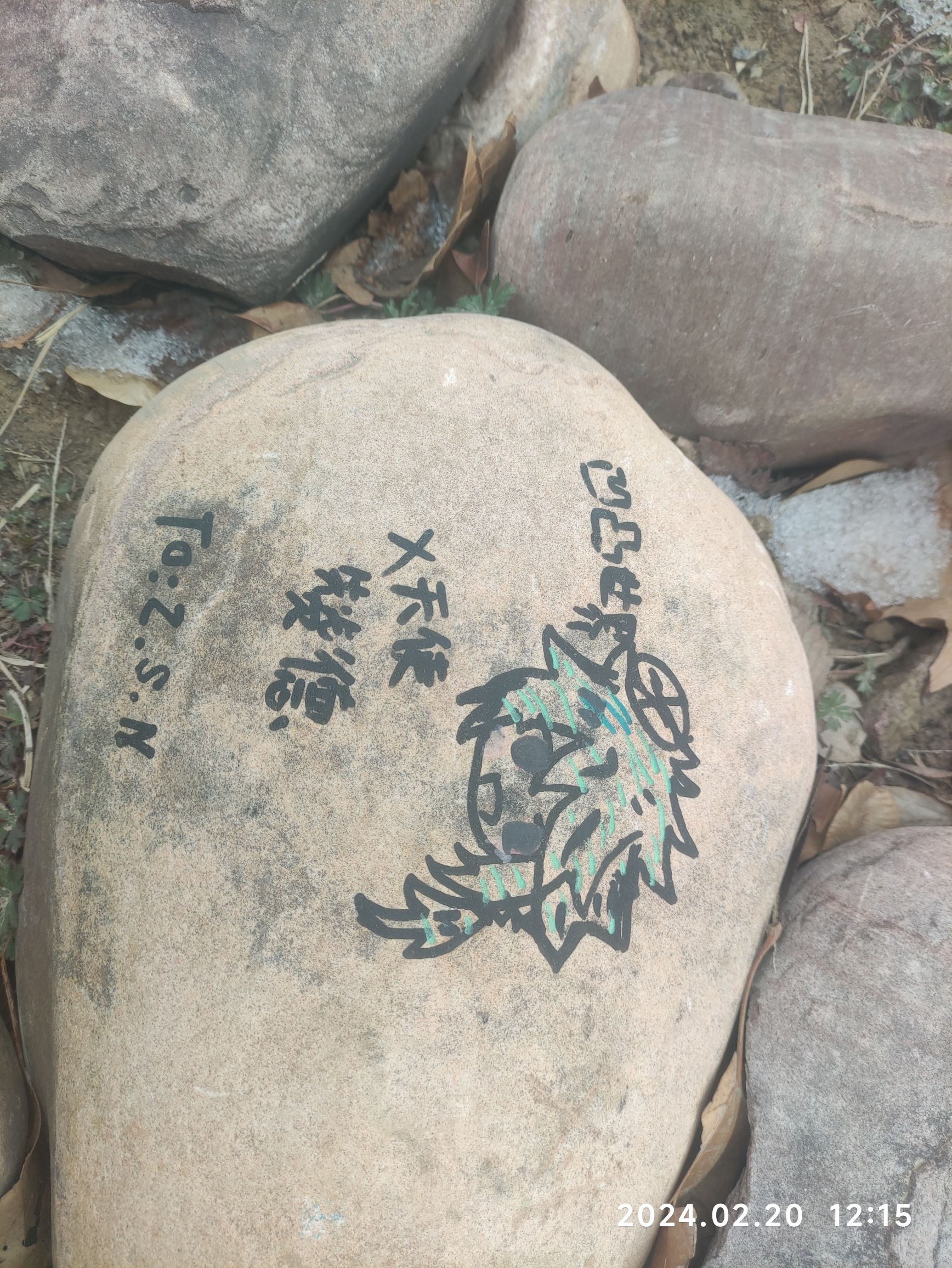 中央公园旅行图片 2