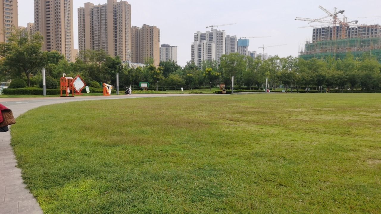 中央公园旅行图片 2
