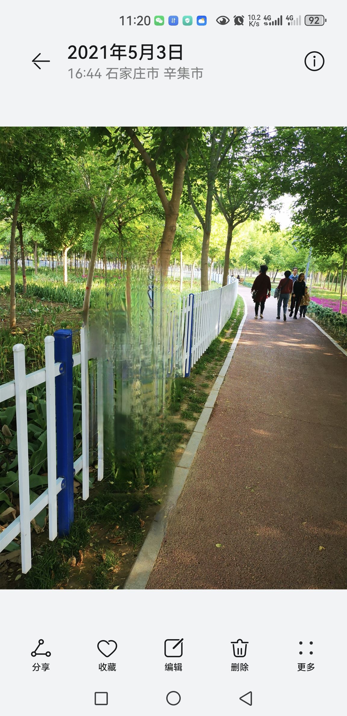 辛集妍园路花海旅行图片 1