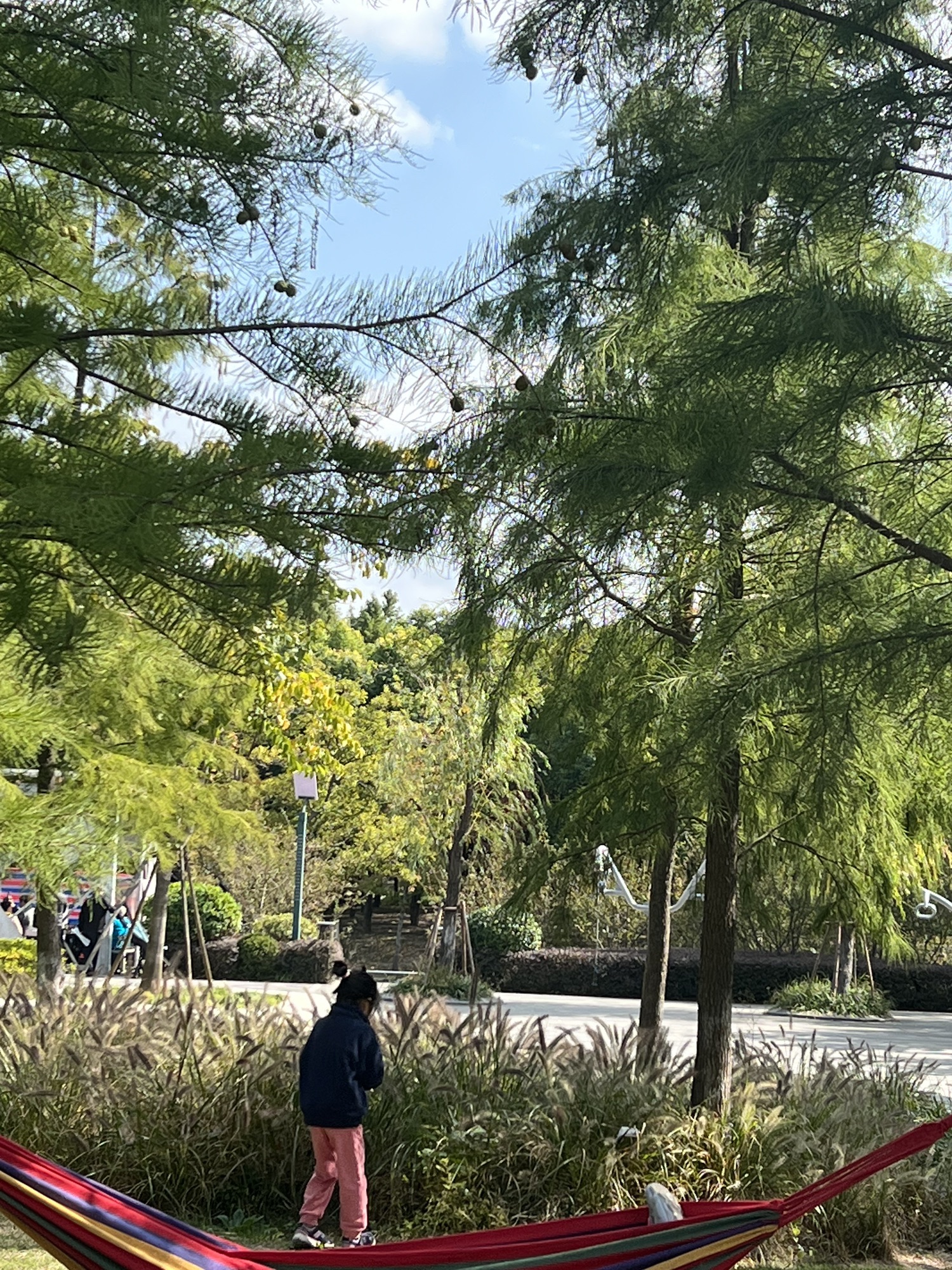 富长路绿地旅行图片 2