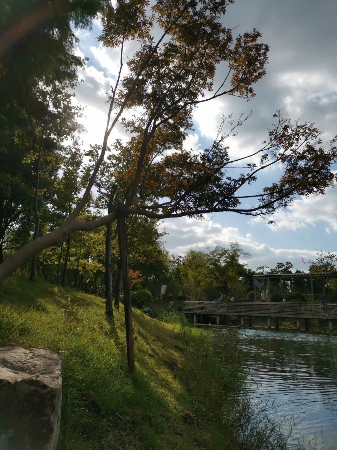 富长路绿地旅行图片 3