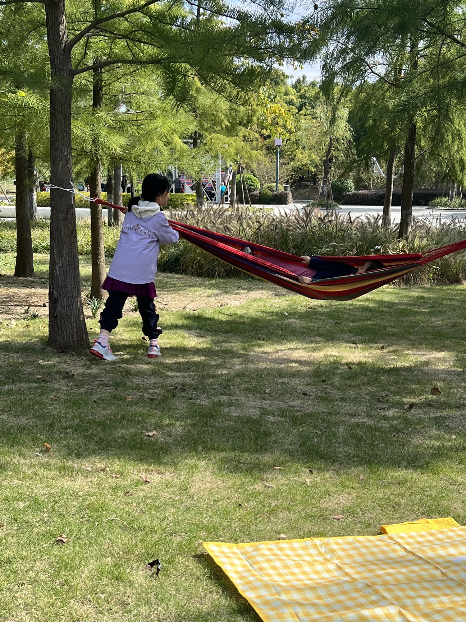 富长路绿地旅行图片 1