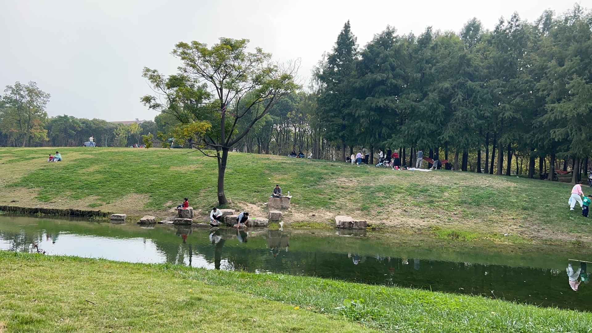 富长路绿地旅行图片 3