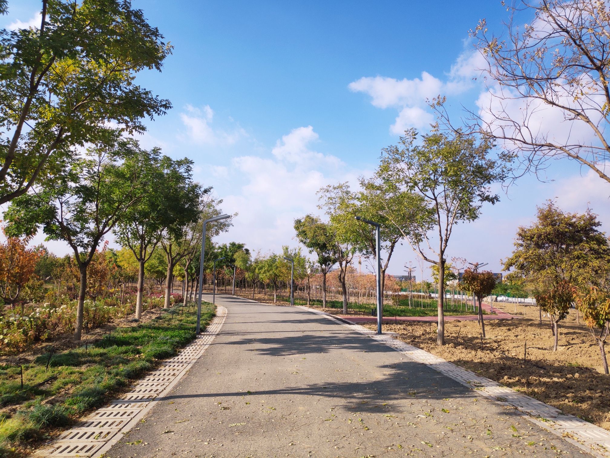 银西花海休闲旅游公园
