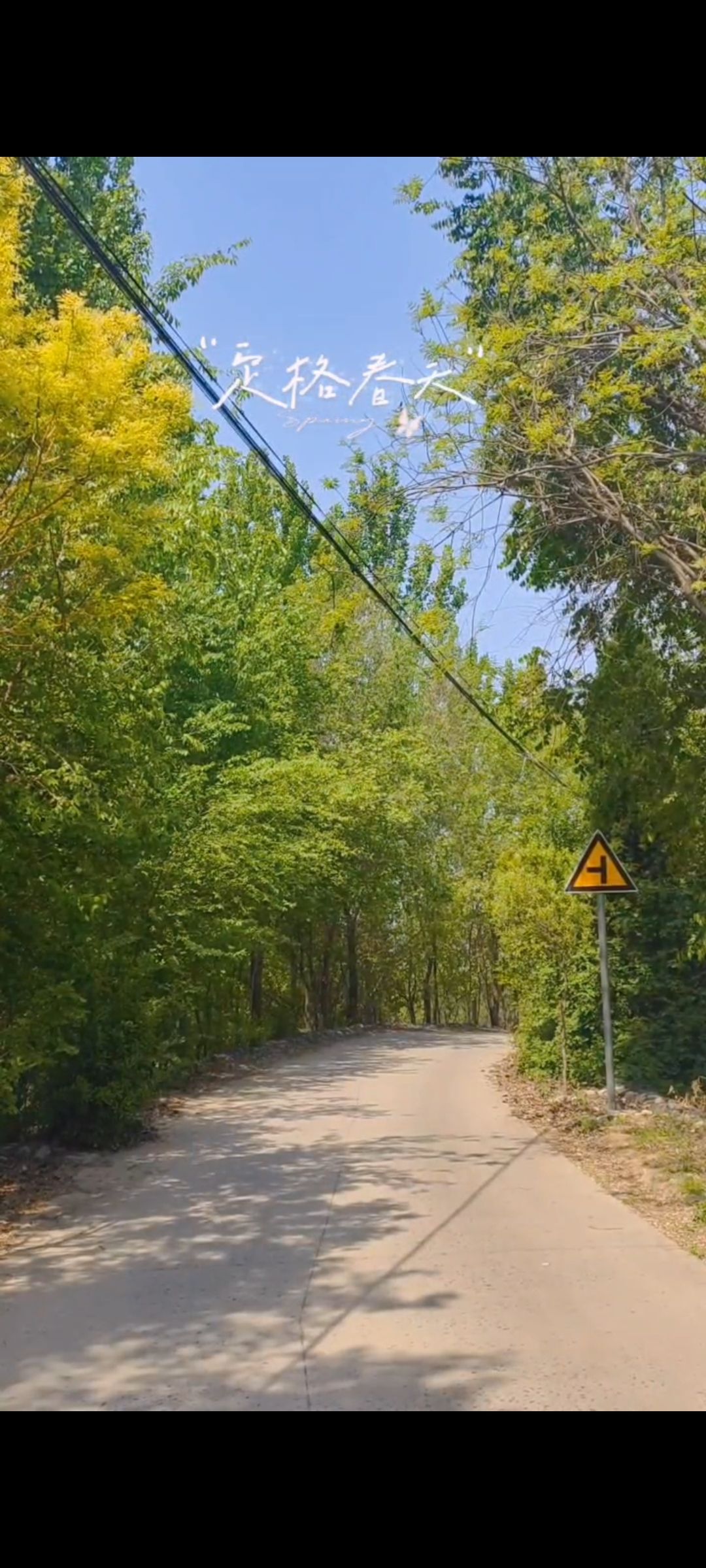 景明风景旅游区旅行图片 3