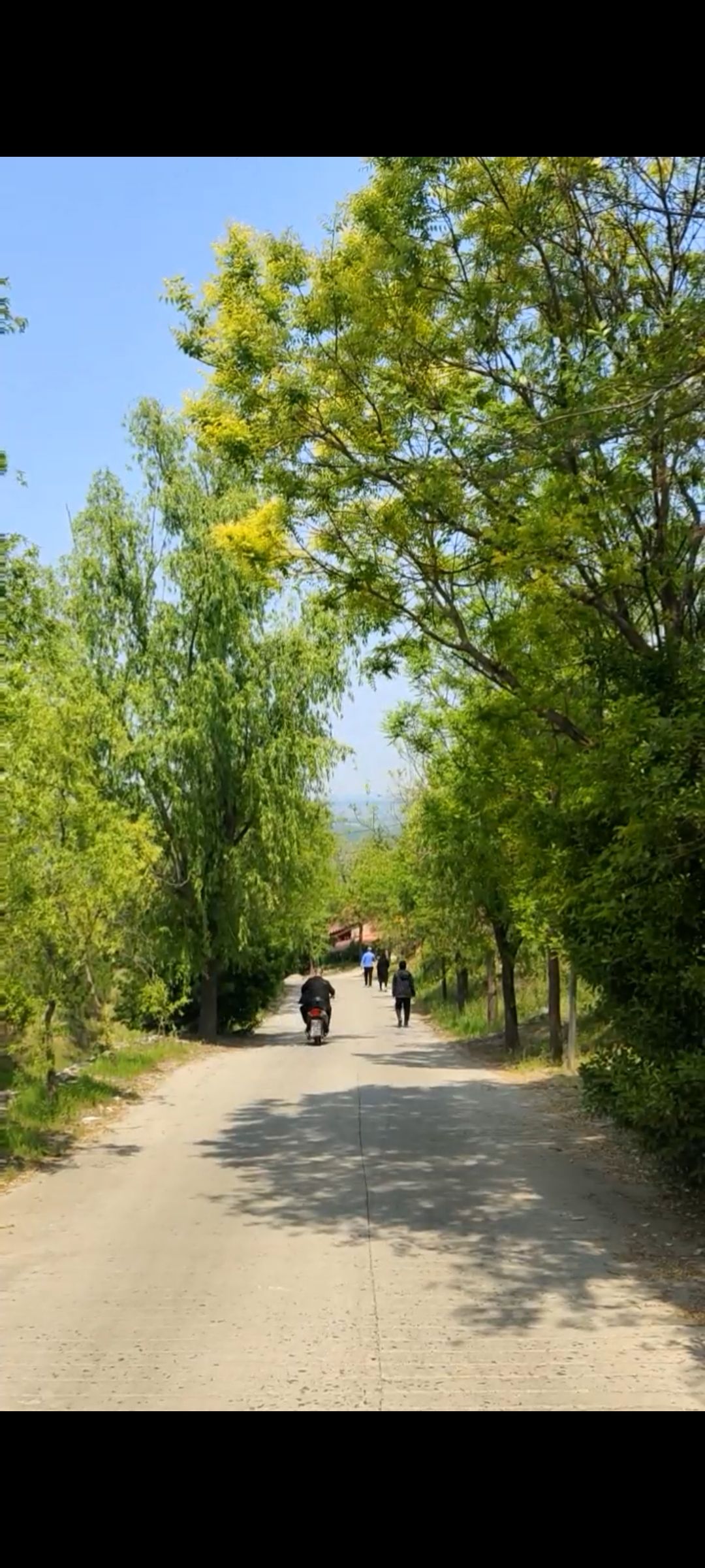 景明风景旅游区旅行图片 2