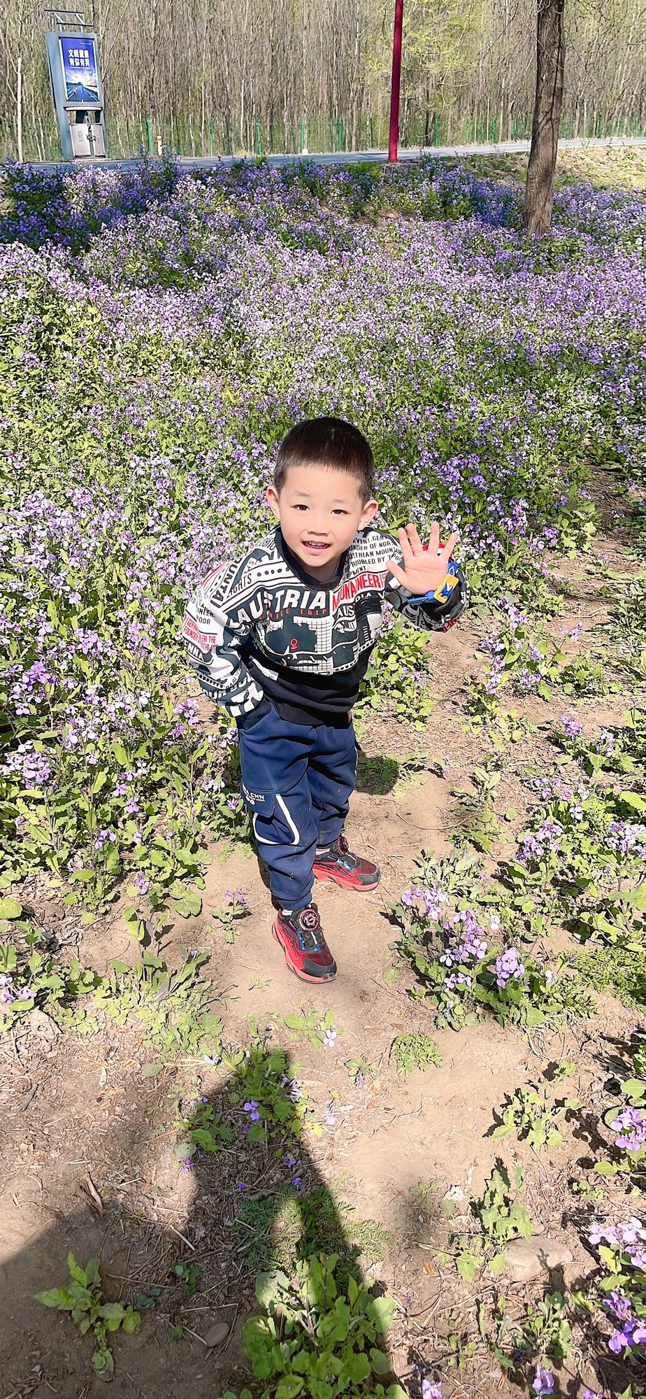 太子岛天鹅湖旅行图片 1