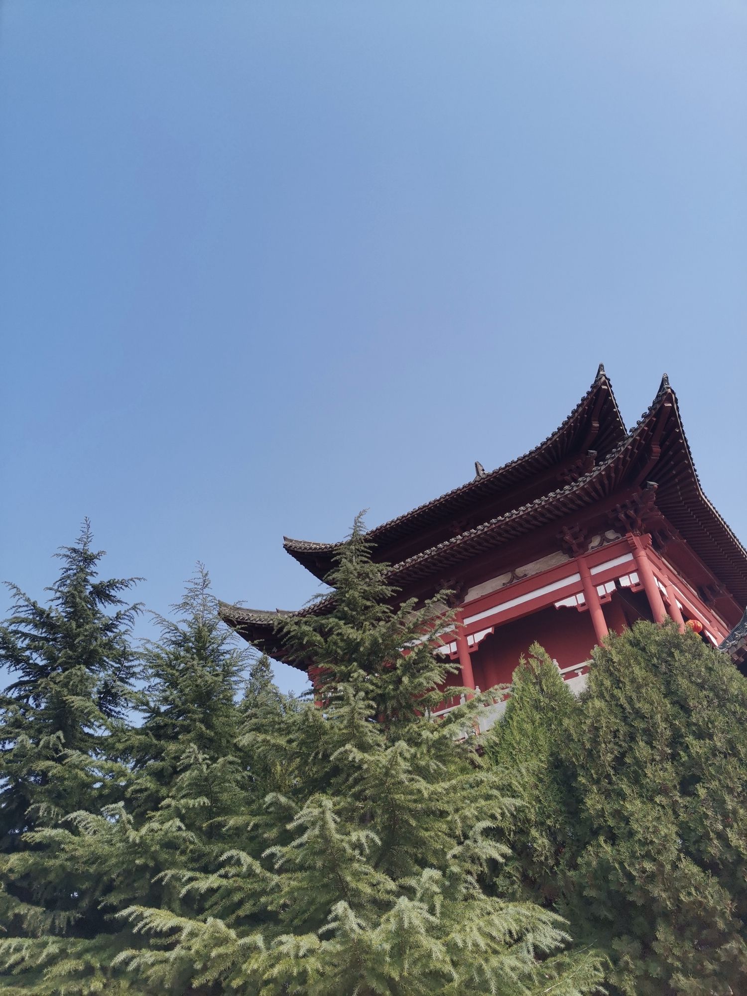 南山广场旅行图片 3