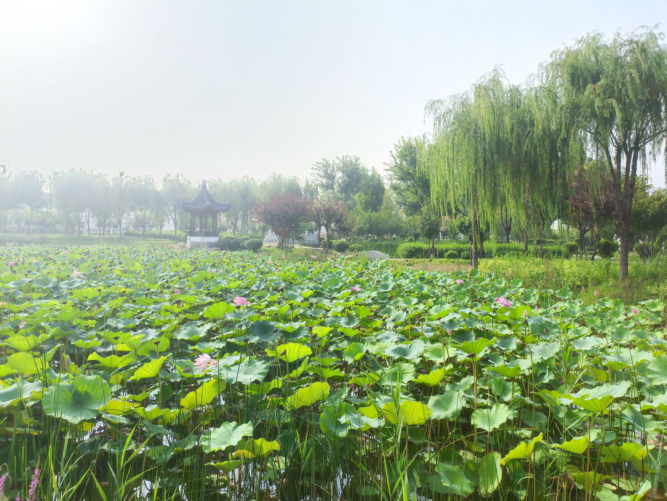 浣溪园旅行图片 2