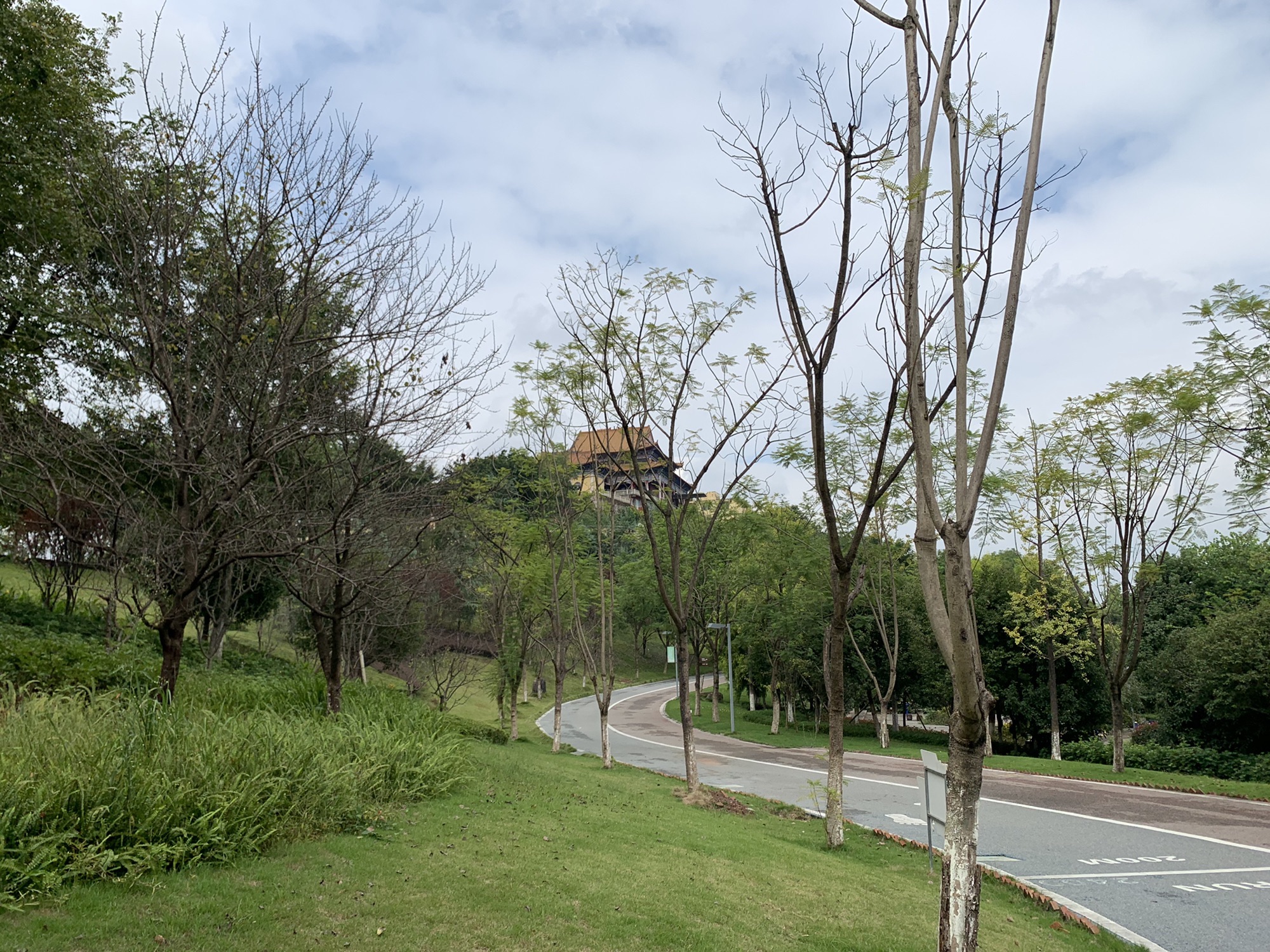 思缘公园旅行图片 3