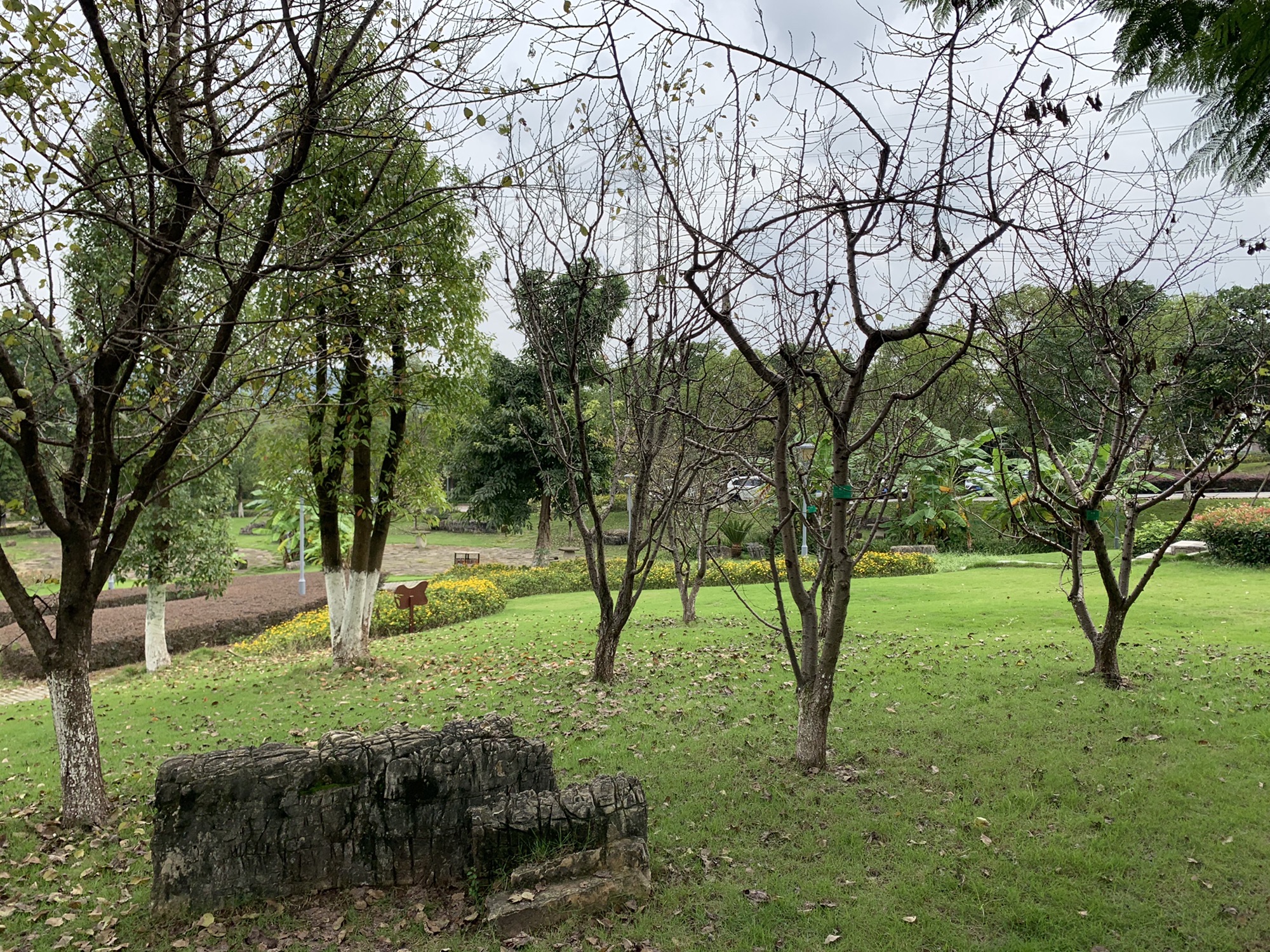 思缘公园旅行图片 2