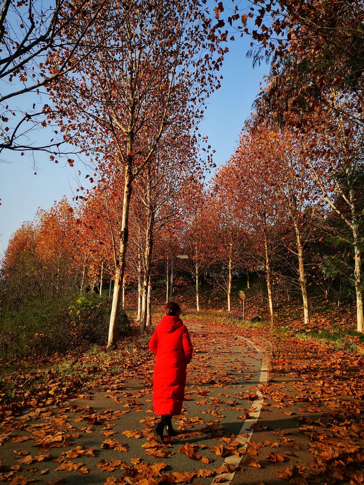 思缘公园旅行图片 3