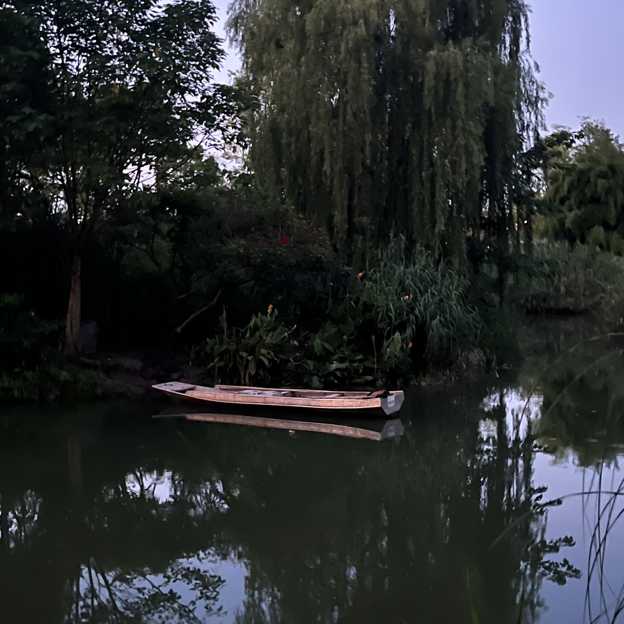 九莲洲生态湿地公园旅行图片 1