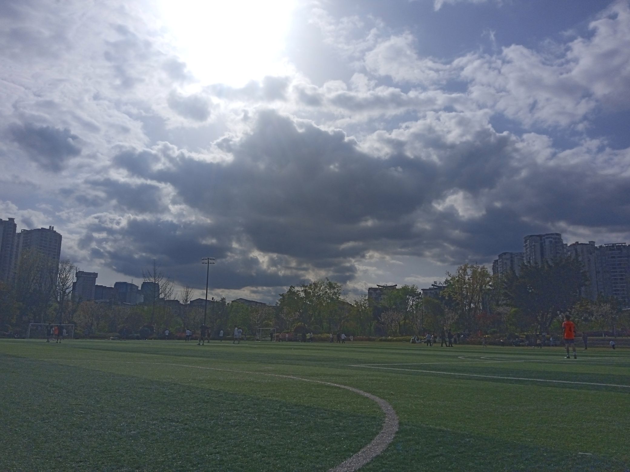 九莲洲生态湿地公园旅行图片 3
