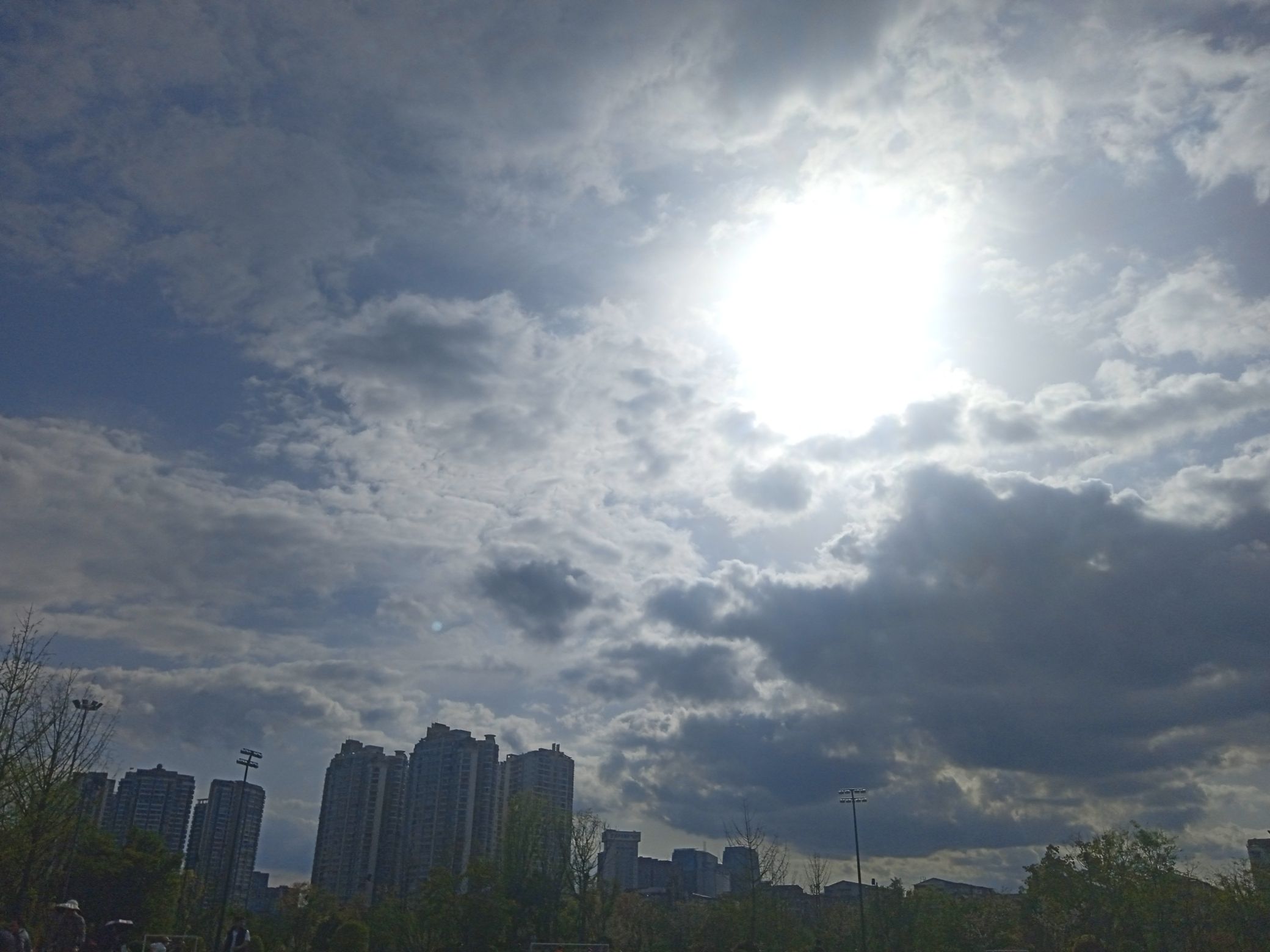 九莲洲生态湿地公园旅行图片 2