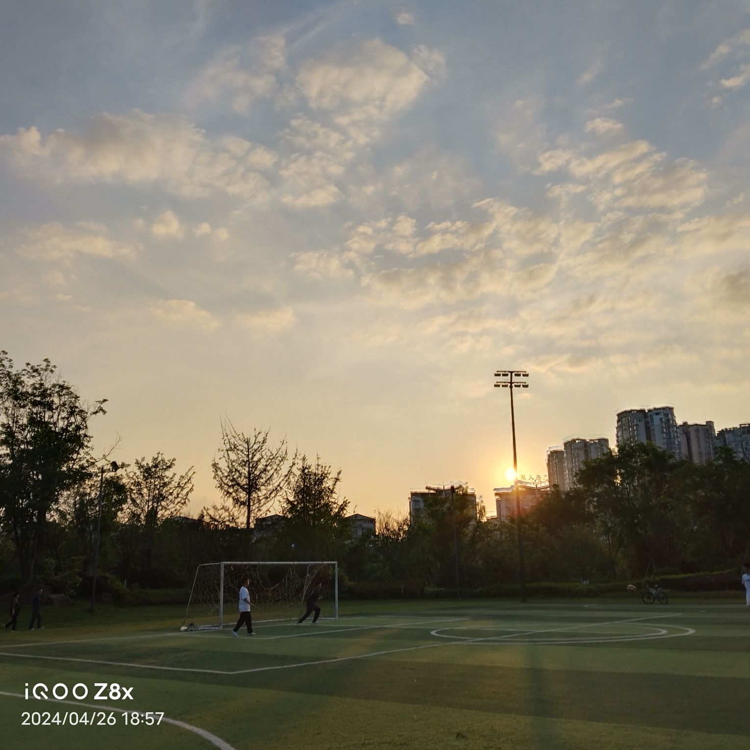 九莲洲生态湿地公园旅行图片 1